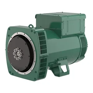 Leroy Somer LSA 46.3 Generator End